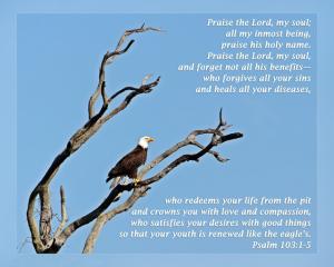 Daily Scripture Art Psalm 103 1-5